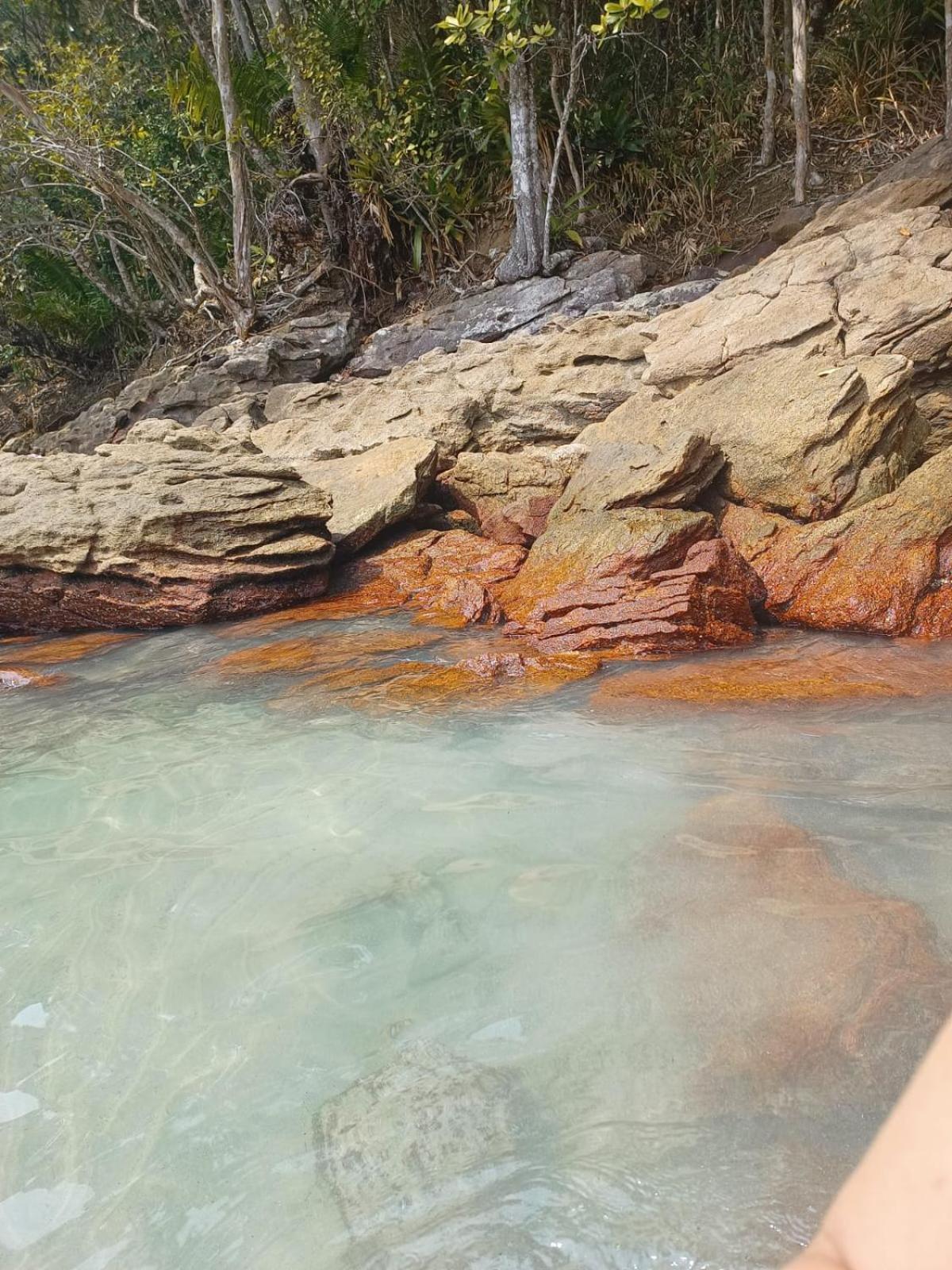Hospedagem domiciliar Em Harmonia Com A Natureza *