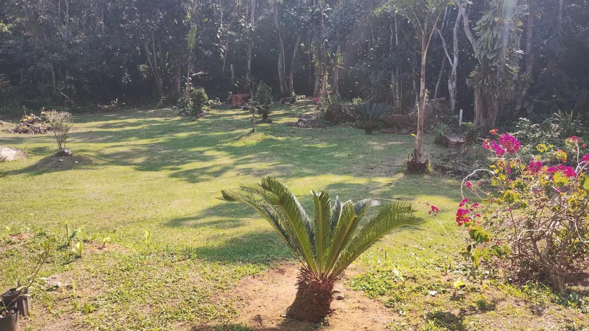 Hospedagem domiciliar Em Harmonia Com A Natureza Ubatuba