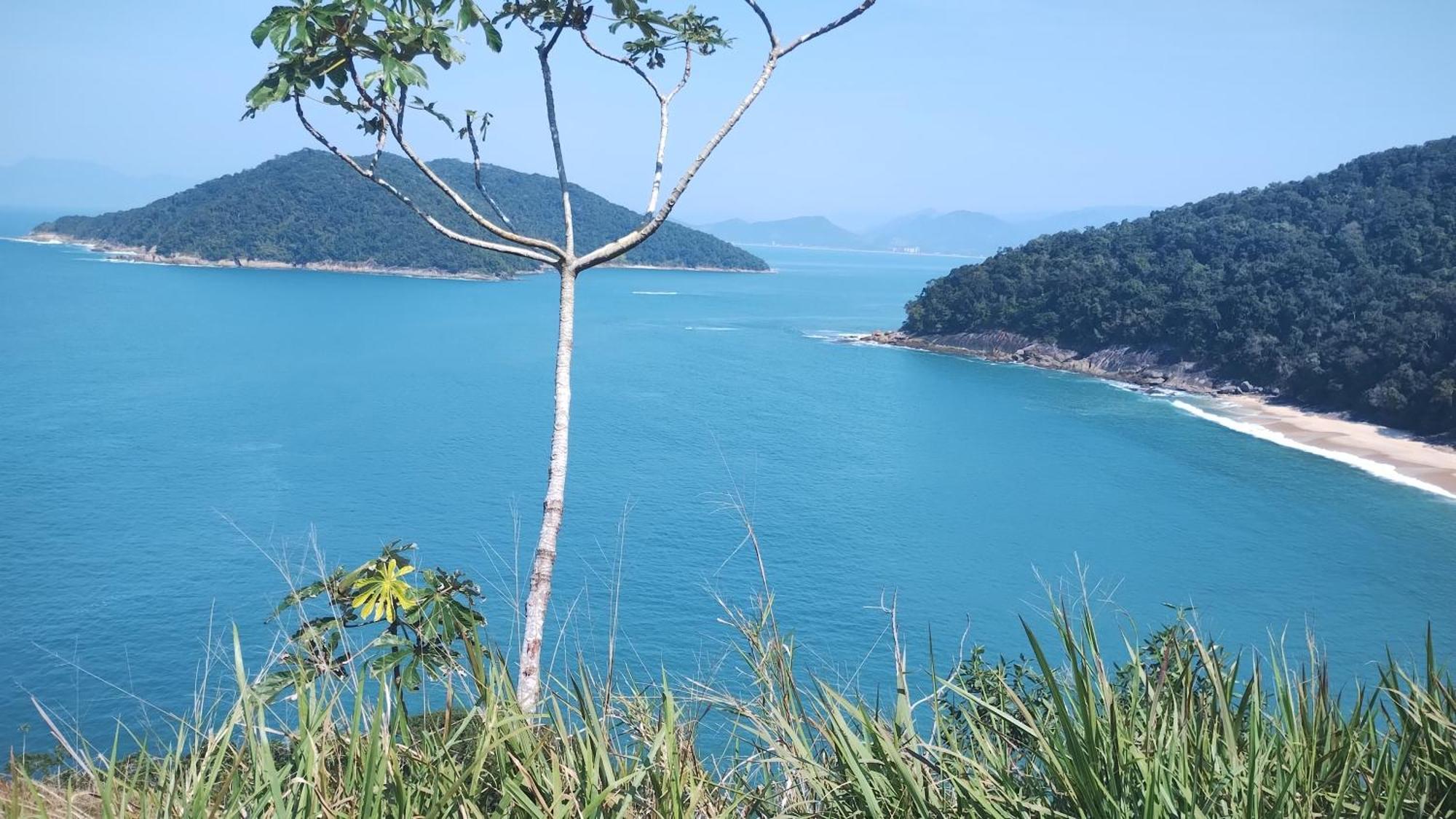 Em Harmonia Com A Natureza *