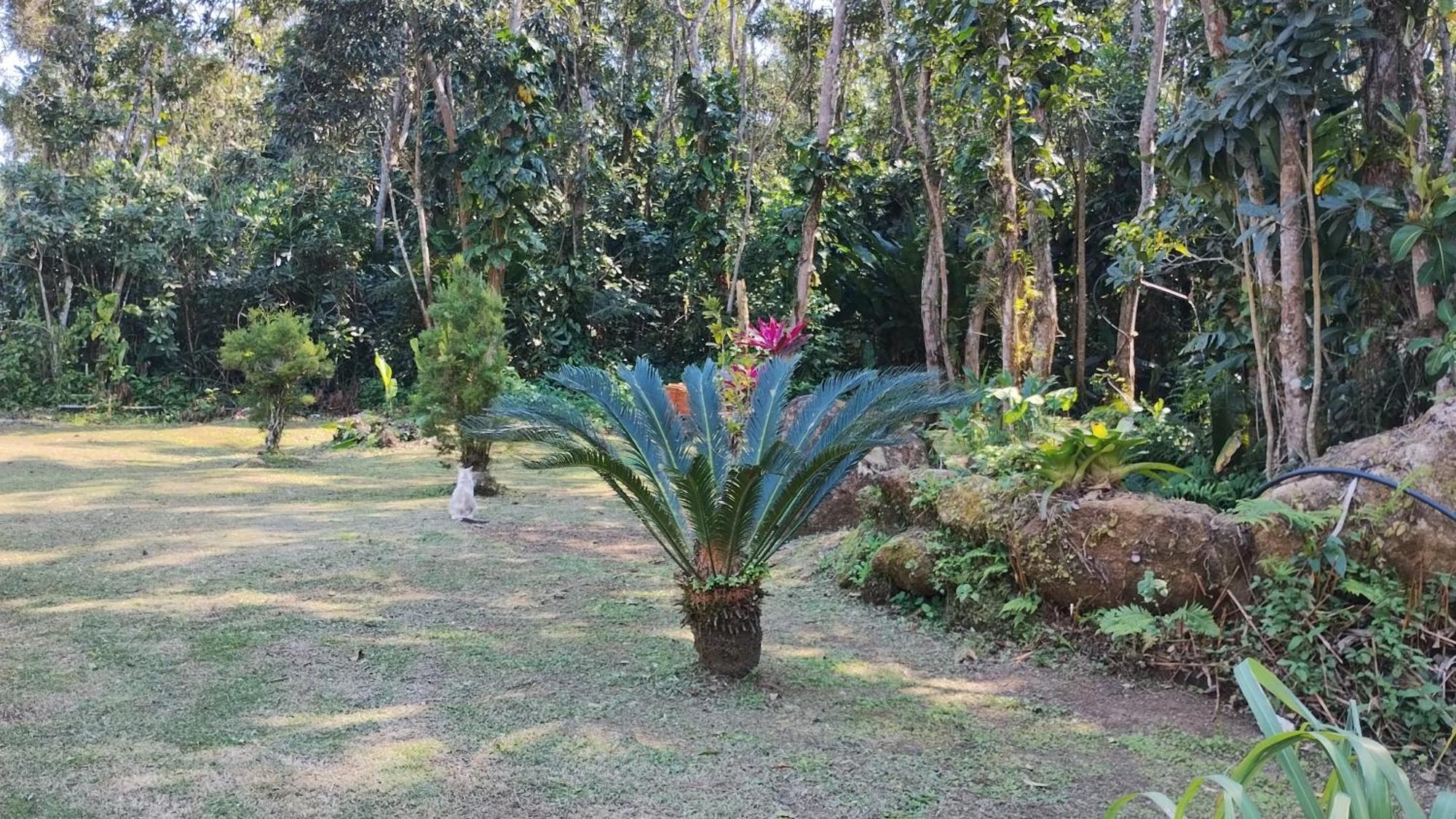 Em Harmonia Com A Natureza * Ubatuba