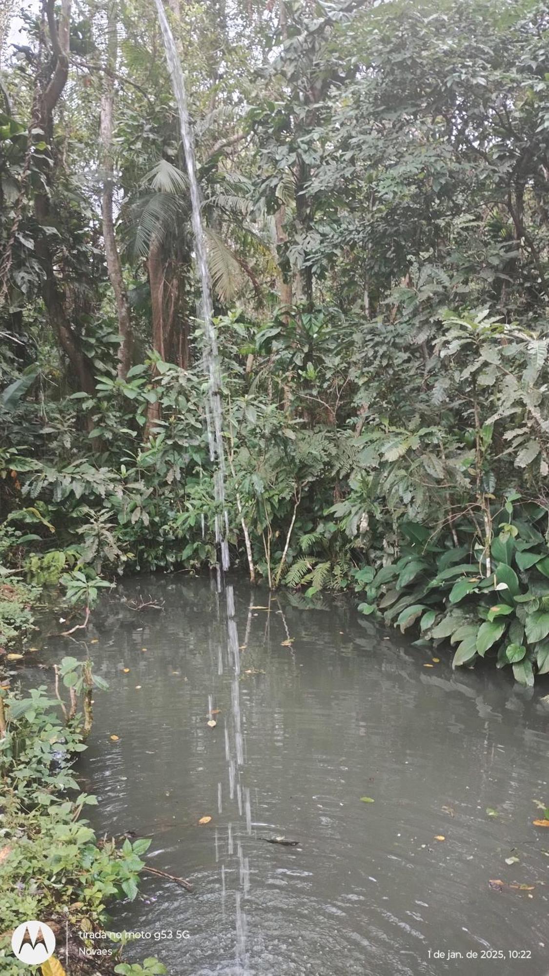 Hospedagem domiciliar Em Harmonia Com A Natureza Ubatuba